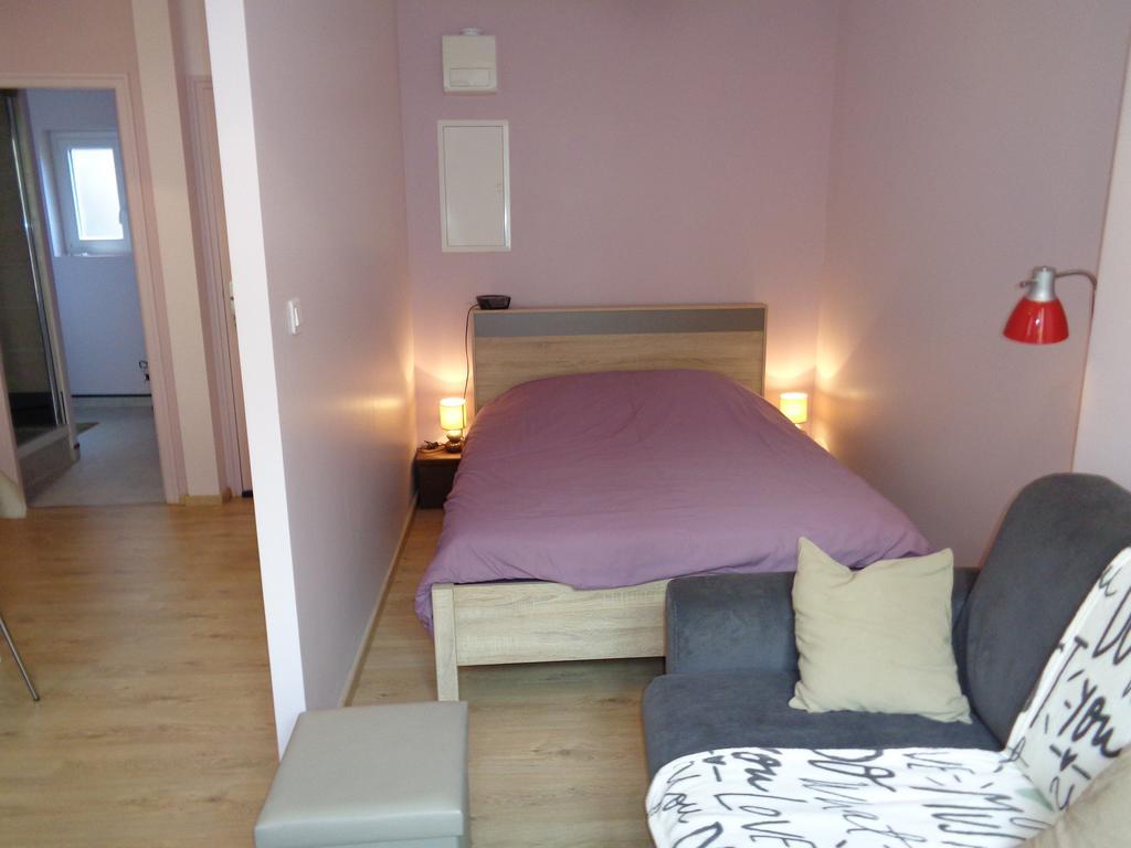 Au Puy Saint Jacques Apartman Le Puy-en-Velay Kültér fotó